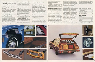 1973 Chevrolet Wagons (Rev)-14-15.jpg